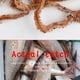 thumbnail image 4 of Señuelo de pesca Eigraketly gusanos de arena secos 1 bolsa 6g, 4 of 6