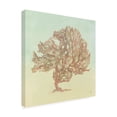 thumbnail image 2 of Julia Purinton 'Sea Fern II' Canvas Art, 2 of 3