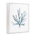 thumbnail image 2 of Stupell Industries Contemporary Minimal Coral Tendrils White Framed Giclee Art, 16 x 20, by Carol Robinson, 2 of 7