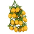 thumbnail image 1 of 5 piezas de decoración de jardín para el hogar coloridas frutas artificiales/verduras cuerdas 9 Zulema Las frutas / hortalizas cuerdas, 1 of 7