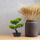 thumbnail image 3 of unbranded Árbol Pino Artificial En Maceta Para Decorar Interior Con Textura Y Resistencia Duradera, 3 of 5