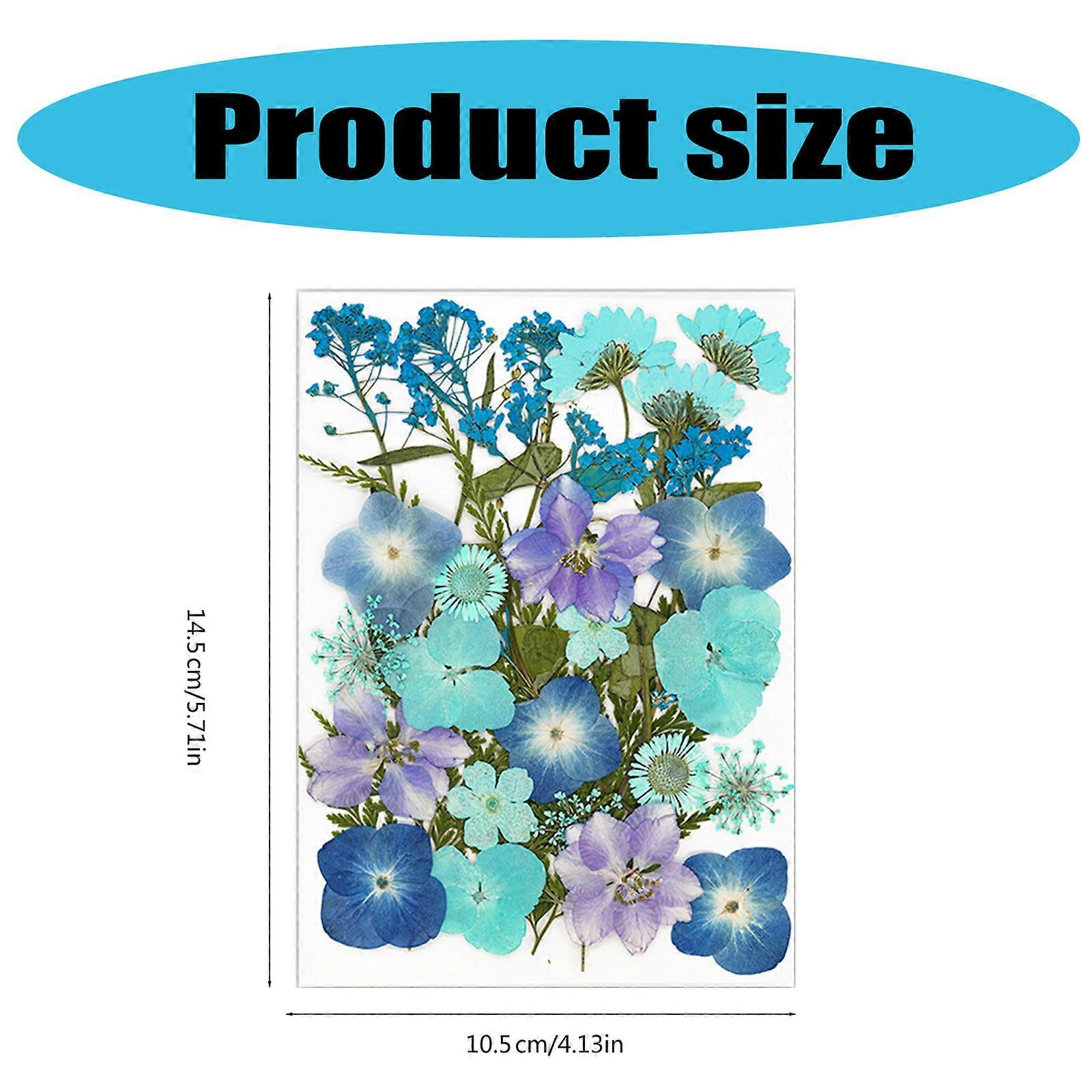 30Pcs Pressed Flower Art Craft Embellishment Supplies For Handmade Bookmarks Candle Jewelry Making Scrapbooking