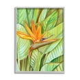 thumbnail image 4 of Stupell Industries Bird of Paradise Flower Leaf Petals Blooming Painting Gray Framed Art Print Wall Art, Design by Elvira Errico, 4 of 5