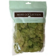 Quality Growers QG2060 Preserved Reindeer Moss, 108.5 Cubic Inch, Spring Green