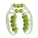 thumbnail image 5 of Rodillo de masaje multifuncional de 21 ruedas para piernas y muslos de hombre. Ideal para interiores. Verde, 5 of 8