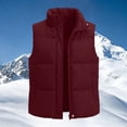 thumbnail image 4 of Abomasnow Women's Puffer Vest Lightweight Stand Collar Sleeveless Winter Warm Zip Up Padded Outerwear Jackets with Pockets S-XXL, 4 of 6