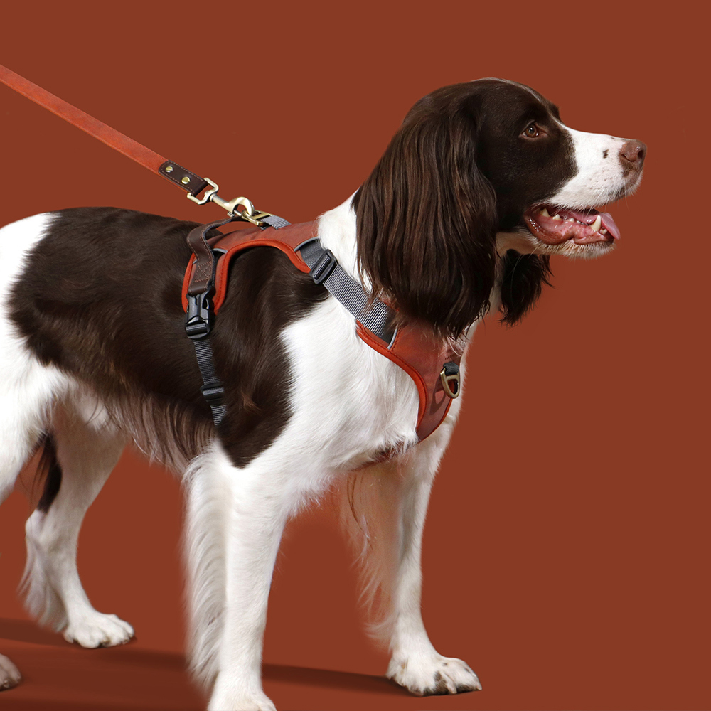 Didog No Pull PU Leather Dog Harness Adjustable Pet Sport Vest with Handle Quick Fit