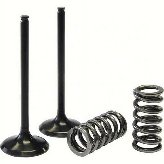 ProX  28.SIS4341-2; Steel Intake Valve / Spring Kit