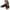 Black, variant on Xfvqtps Sandals for Womens Straps Arch Support Low Wedge Thick Bottom Open Toe Hollow out Hook and Loop Soft Sole Non Slip Beach Summer Walking Casual Shoes Black