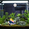 thumbnail image 3 of Xioeram Floating Fish Tank Decorations| Cute Little Diver, Surfer boy, Whale-Riding Girl for Aquarium Decorations、Desktop Ornaments、Car Decorating| Fish Tank Accessories Decorations, 3 of 8