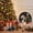 R, variant on Toycle Christmas Little Mouse Wall Sticker Festive Scene Wall Decal Whimsical Holiday Adhesive Art Sticker For Home Wall Decor Multicolor