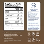 Vital Proteins Chocolate Collagen Peptide, 13.5 oz