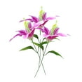 Best Sale! Flowers Zainafacai Artificial Flowers,Potted Plant