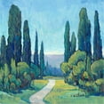 thumbnail image 2 of OToole, Tim 20x20 White Modern Wood Framed Museum Art Print Titled - Cypress Path I, 2 of 4