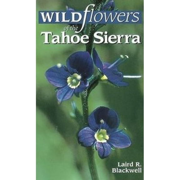 Pre-Owned Wildflowers of the Tahoe Sierra (Paperback) 1551050854 9781551050850