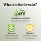 thumbnail image 4 of Jabón de baño de burbujas Maple Holistics Premium Eucalyptus, 4 of 9