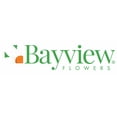 thumbnail image 2 of BAYVIEW FLOWERS Spécial Palmier 10 Pouces, 2 of 2