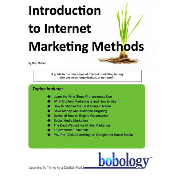 Internet Marketing: Introduction to Internet Marketing Methods (Paperback)