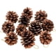 thumbnail image 2 of 6Pcs Christmas Artificial Pinecone Simplicity Natural Woodiness Pendant Room Decoration Autumn Thanksgiving Pine Tree Accessorie, 2 of 5