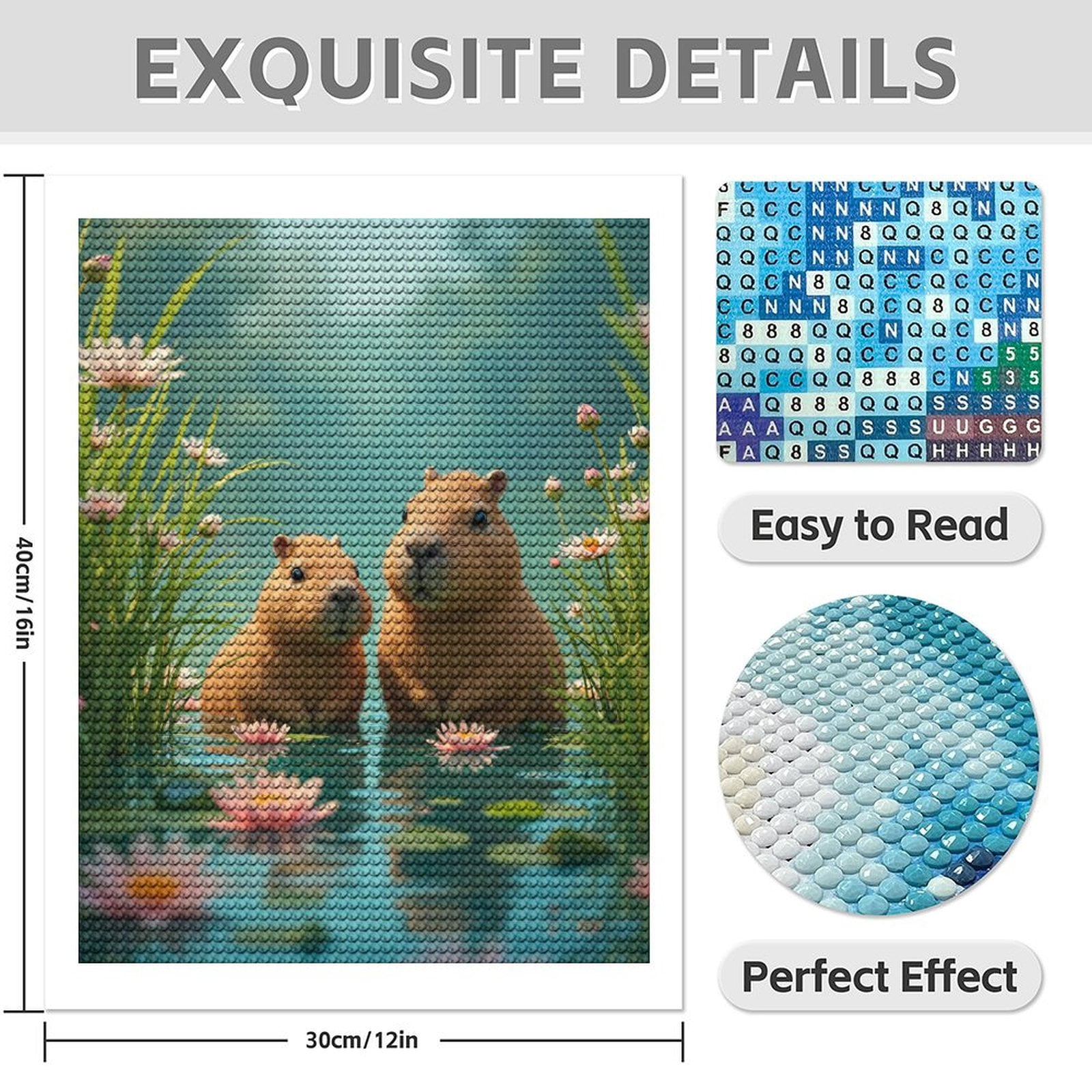Diamond Art Kits for Adults - 5d Capybara Duo In Tranquil Waters Diamond Painting for Adults, Diamond Art for Adults Beginners, Diamond Painting Kits for Adults for Home Wall Decor