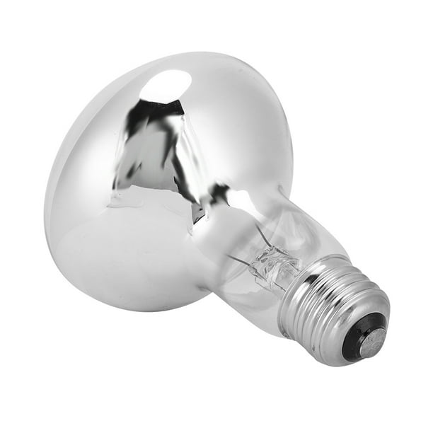 Mini reptile heat store lamp