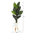 thumbnail image 2 of Nearly Natural 6ft. Travelers Palm Artificial Tree in White Planter with Stand, 2 of 4