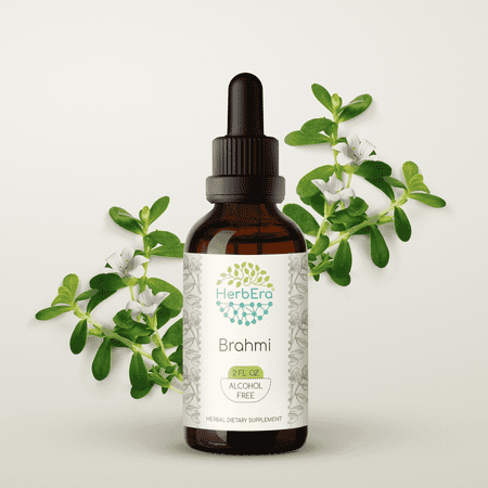 HerbEra Brahmi Tincture, Herbal Dietary Supplement for Memory Support, Brahmi (Bacopa monnieri) Dried Herb Extract, Natural, Alcohol-Free, Drops 2 oz