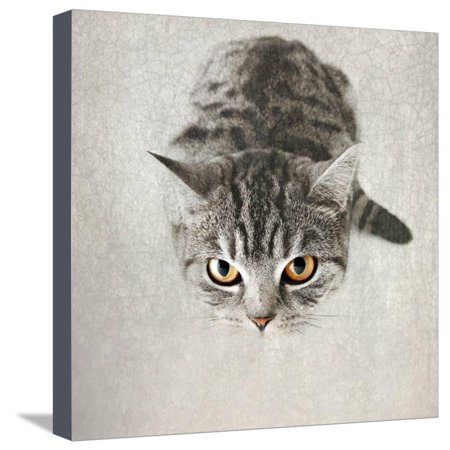 Hello Kitty Stretched Canvas Print Wall Art By Nadia Attura