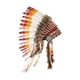 thumbnail image 4 of Tocados de plumas de inspiración india: accesorios fotográficos para fiestas de baile y burlesque., 4 of 6