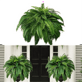 thumbnail image 3 of UV Resistant Lifelike Artificial Boston Fern, Artificial Ferns for Outdoors, Faux Ferns Fake Ferns Artificial Plants, 3 of 5