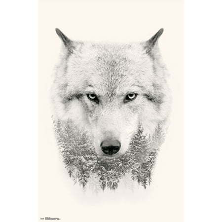 Trends International Wolf Trees Wall Poster 22.375
