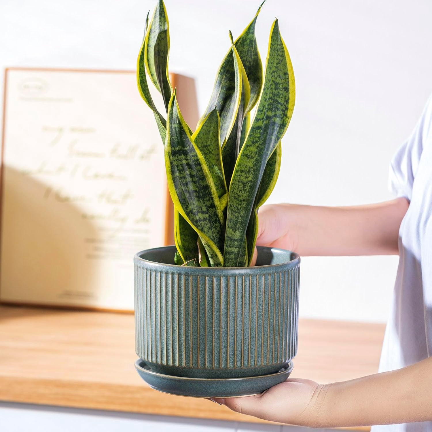 Set of 3 Speckle Gray Ceramic Plant Pots, 4.3+5.5+6.7 Inch with Drainage Hole, Saucer & Hole Pads, Striped Decorative Planter for Indoor Plants and Gardening