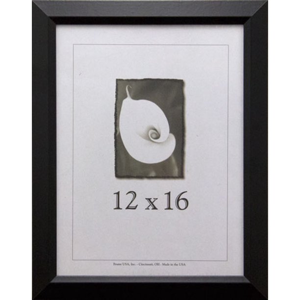 Frame USA 16 in x 12 in Acrylic/Plastic Picture Frames, Black Walmart