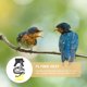 thumbnail image 2 of WORGEOUS Chaleco de aves ajustable y arneses Kit de correa para loros al aire libre de entrenamiento volando cuerda, 2 of 7
