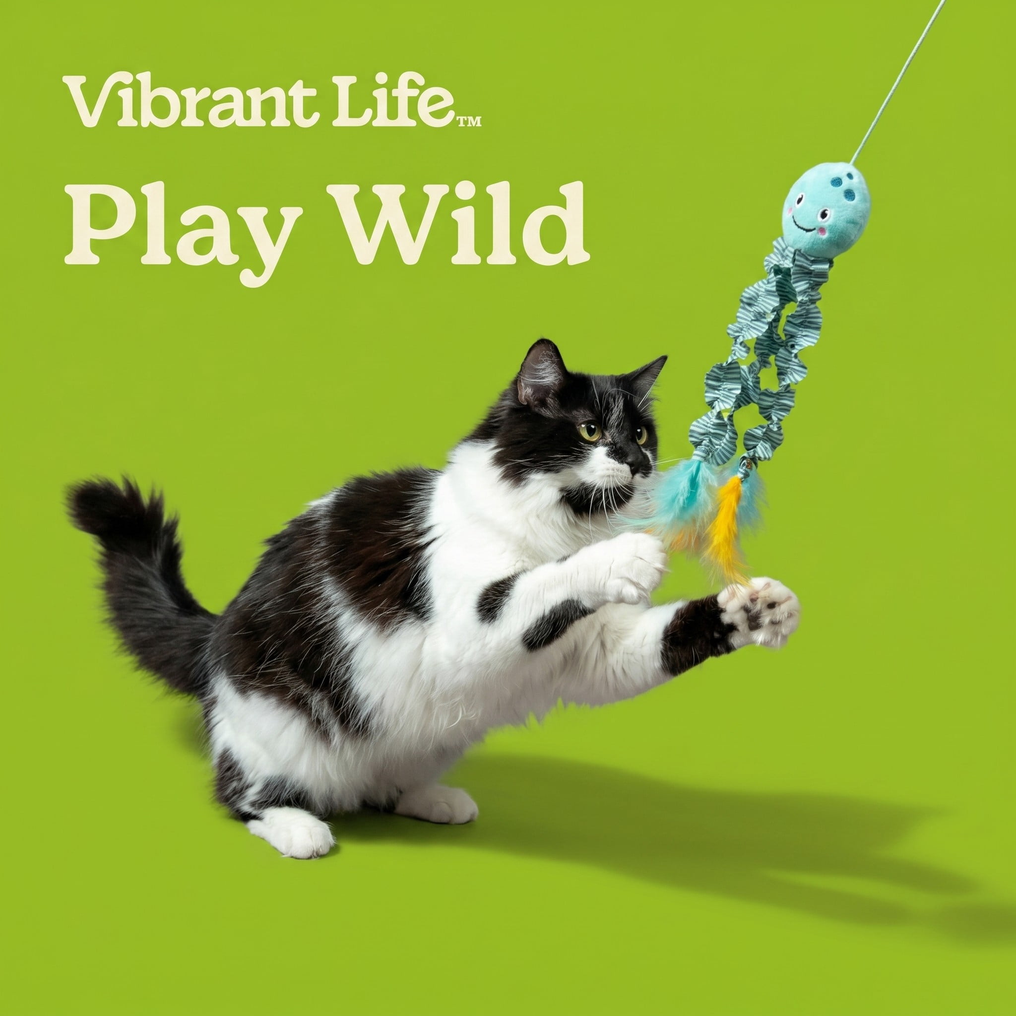 (2 pack) Vibrant Life Jellyfish Teaser Cat Toy with Catnip, 18"