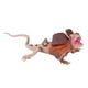 thumbnail image 2 of Figuras de lagarto para decoración de tartas, regalo de cumpleaños, figuras de acción realistas y detalladas para Tipo F, 2 of 9