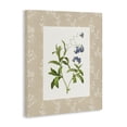 thumbnail image 2 of Stupell Industries Traditional Botanical Plate Design Canvas Art, 30 x 40, by Val Rhodes, 2 of 8