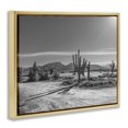 thumbnail image 3 of Stupell Industries Sunlit Cactus Valley Gold Framed Floater Canvas Wall Art design by Norm Stelfox, 25 x 31, 3 of 9