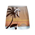 thumbnail image 3 of Mrrootc Men's Summer Vocation Beach Shorts Elastic Waist Draw String Casual Walkshorts, 3 of 4
