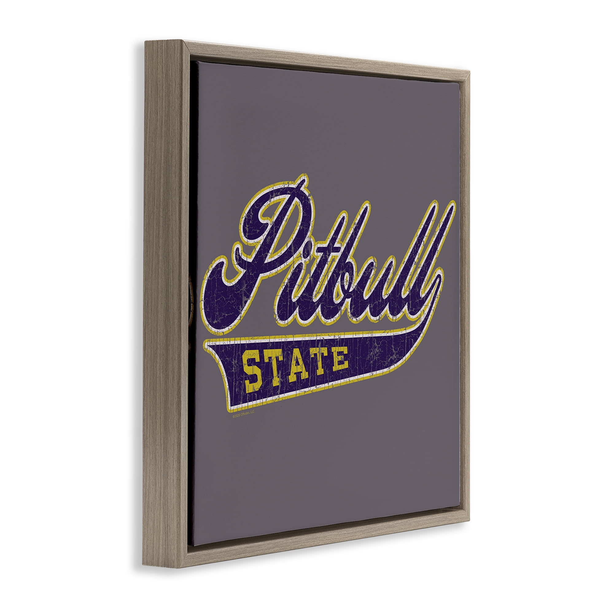 Stupell Industries Varsity Style Pitbull State Novelty & Humor Painting Brown Floater Framed Canvas Art Print Wall Art, 18 x 18