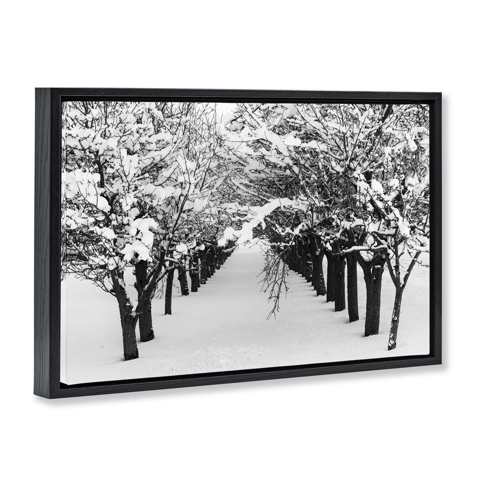 Stupell Industries Winter Tree Pathway Landscape & Nature Photography Black Floater Framed Canvas Art Print Wall Art, 25 x 17