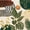 Olive Gold Cream, variant on Castle Fairy Mid Century Layered Hill Twin Quilt Set 2 Pieces,Abstract Leaf Silhouette Twin Coverlet Set,Ochre Teal Brown,1 Bedspread and 1 Pillowcase