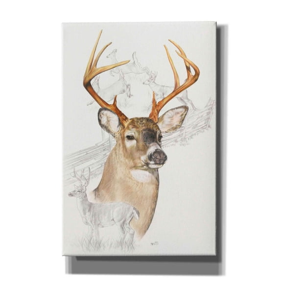 Epic Graffiti 'White Tailed Deer' by Barbara Keith, Canvas Wall Art, 12"x18"