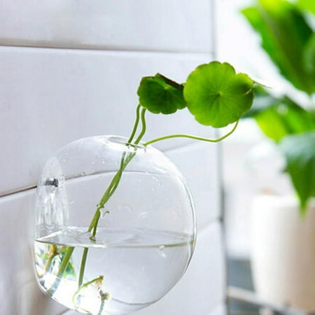 Glass Terrarium Card Box Hanging Flower Pot Glass Ball Vase Terrarium Wall Fish Tank Aquarium Container Home Decor diameter 10cm ()