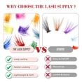 thumbnail image 3 of Extensiones de pestañas THE LASH SUPPLY Halloween Color Volume, 3 of 6