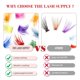 thumbnail image 3 of Extensiones de pestañas THE LASH SUPPLY Halloween Color Volume, 3 of 6