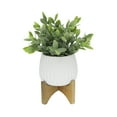 thumbnail image 3 of Artificial Plant Tea Leaf in 5 in Ridge Ceramic Pot on Wood Stand,Matte White, 3 of 3