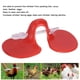 thumbnail image 5 of Equipos para granjas avícolas Amonsee antipicoteo para aves de corral Pollos nativos Gallinas ponedoras Pollos de cáñamo Faisanes Pollos de engorde de plumas blancas, 5 of 8