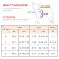thumbnail image 4 of Nuevo conjunto de arnés y correa para cachorros y perros pequeños, arneses ajustables para mascotas, accesorios para mascotas para chihuahua, caniche, bichón y gato, 4 of 5