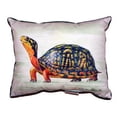 thumbnail image 3 of Betsy Drake SN491 11 x 14 in. Happy Turtle Small Indoor & Outdoor Pillow, 3 of 3